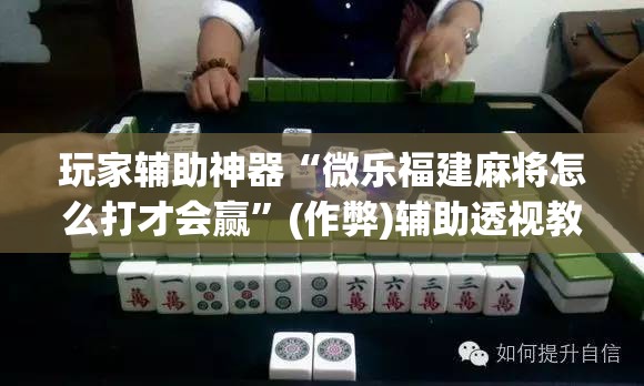玩家辅助神器“微乐福建麻将怎么打才会赢”(作弊)辅助透视教程