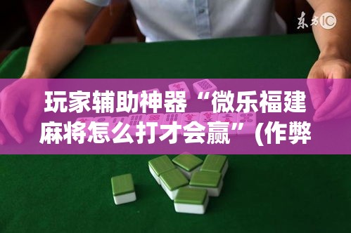 玩家辅助神器“微乐福建麻将怎么打才会赢”(作弊)辅助透视教程