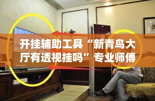 开挂辅助工具“新青鸟大厅有透视挂吗”专业师傅带你一起了解(确实有挂