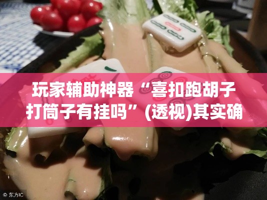 玩家辅助神器“喜扣跑胡子打筒子有挂吗”(透视)其实确实有挂