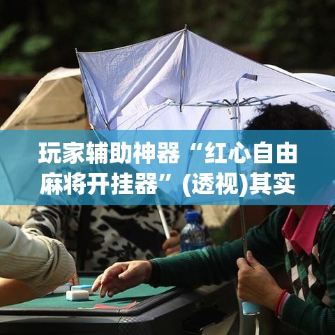 玩家辅助神器“红心自由麻将开挂器”(透视)其实确实有挂