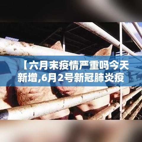 【六月末疫情严重吗今天新增,6月2号新冠肺炎疫情情况】 【六月末疫情严重吗今天新增,6月2号新冠肺炎疫情情况】