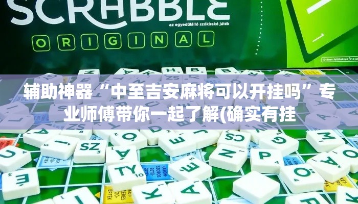 辅助神器“中至吉安麻将可以开挂吗	”专业师傅带你一起了解(确实有挂