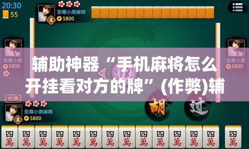 辅助神器“手机麻将怎么开挂看对方的牌	”(作弊)辅助透视教程