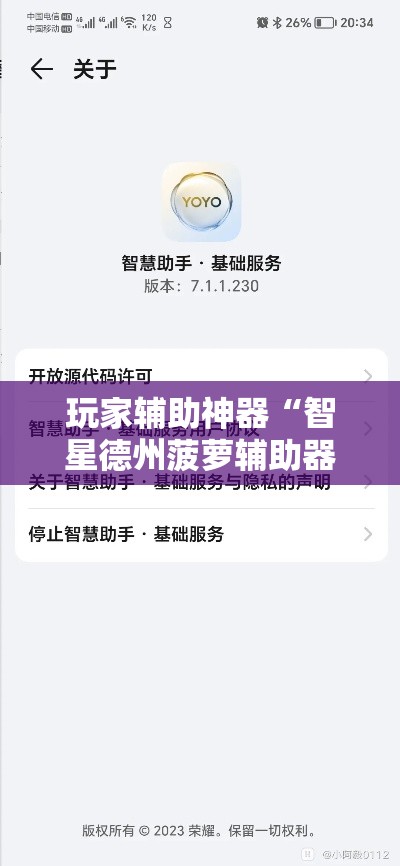 玩家辅助神器“智星德州菠萝辅助器下载安装”分享用挂教程