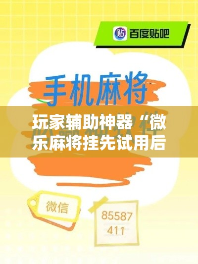 玩家辅助神器“微乐麻将挂先试用后付款”科技辅助神器手机版