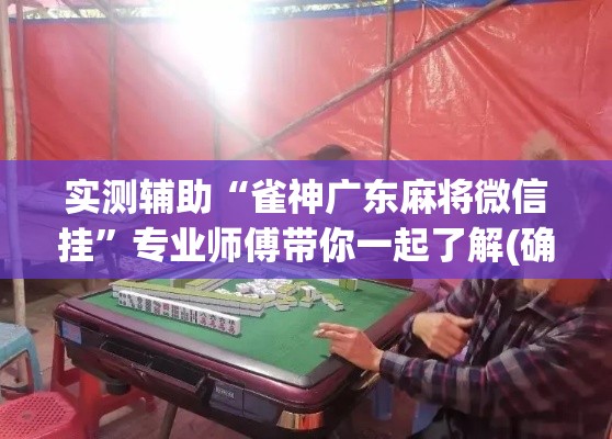 实测辅助“雀神广东麻将微信挂”专业师傅带你一起了解(确实有挂