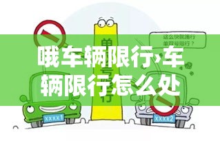 哦车辆限行›车辆限行怎么处罚? 哦车辆限行›车辆限行怎么处罚?