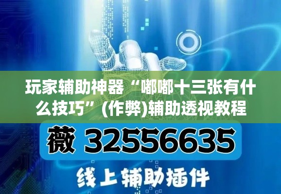 玩家辅助神器“嘟嘟十三张有什么技巧”(作弊)辅助透视教程