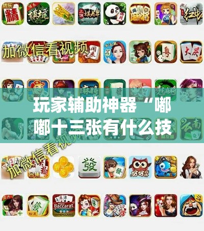 玩家辅助神器“嘟嘟十三张有什么技巧	”(作弊)辅助透视教程