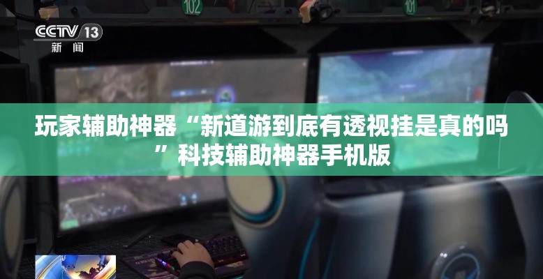 玩家辅助神器“新道游到底有透视挂是真的吗	”科技辅助神器手机版