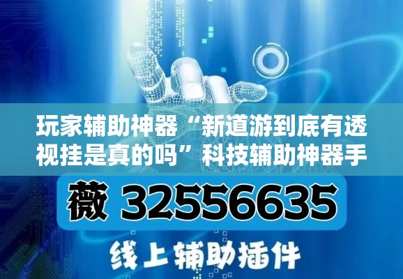 玩家辅助神器“新道游到底有透视挂是真的吗”科技辅助神器手机版
