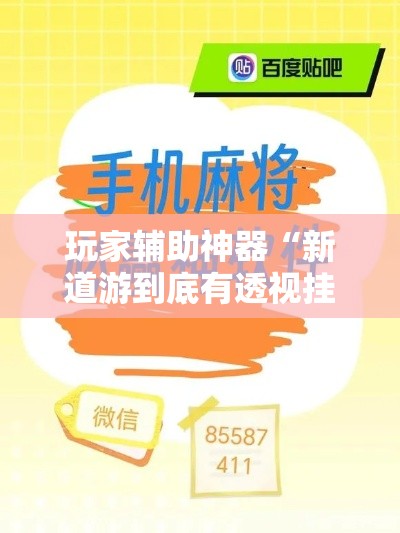 玩家辅助神器“新道游到底有透视挂是真的吗”科技辅助神器手机版