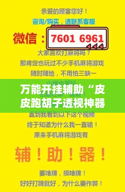 万能开挂辅助“皮皮跑胡子透视神器	”专业师傅带你一起了解(确实有挂