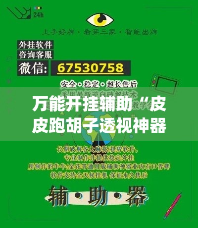 万能开挂辅助“皮皮跑胡子透视神器	”专业师傅带你一起了解(确实有挂