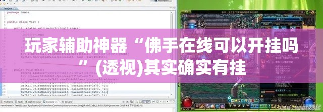 玩家辅助神器“佛手在线可以开挂吗”(透视)其实确实有挂