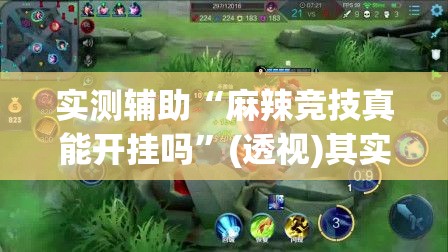 实测辅助“麻辣竞技真能开挂吗”(透视)其实确实有挂