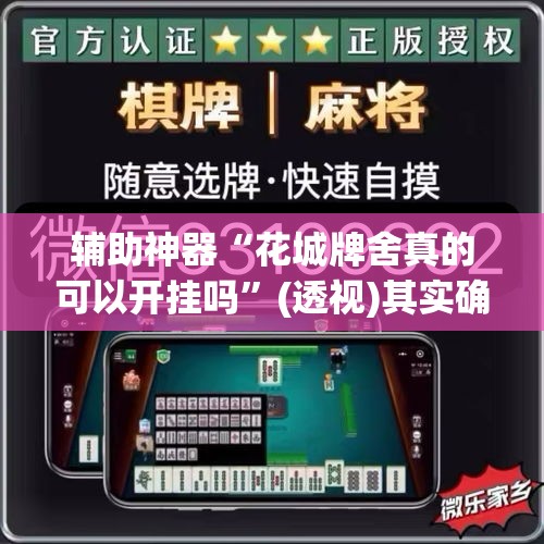 辅助神器“花城牌舍真的可以开挂吗	”(透视)其实确实有挂