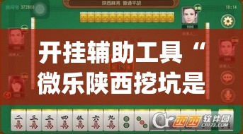 开挂辅助工具“微乐陕西挖坑是不是有挂”(透视)其实确实有挂
