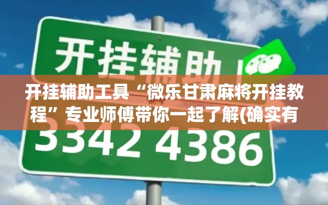 开挂辅助工具“微乐甘肃麻将开挂教程”专业师傅带你一起了解(确实有挂