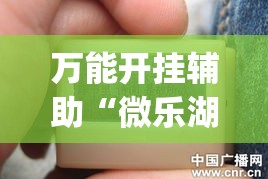 万能开挂辅助“微乐湖北麻将开挂神器	”(作弊)辅助透视教程