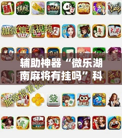 辅助神器“微乐湖南麻将有挂吗”科技辅助神器手机版