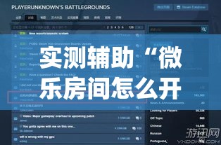 实测辅助“微乐房间怎么开挂视频”专业师傅带你一起了解(确实有挂