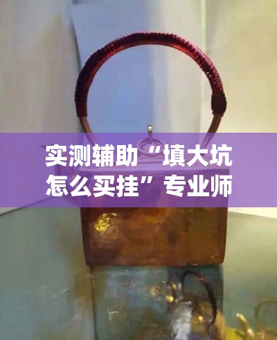 实测辅助“填大坑怎么买挂”专业师傅带你一起了解(确实有挂