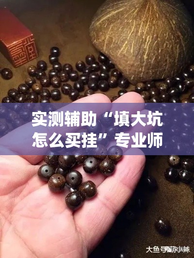 实测辅助“填大坑怎么买挂”专业师傅带你一起了解(确实有挂