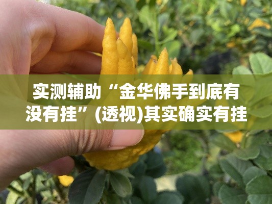 实测辅助“金华佛手到底有没有挂	”(透视)其实确实有挂