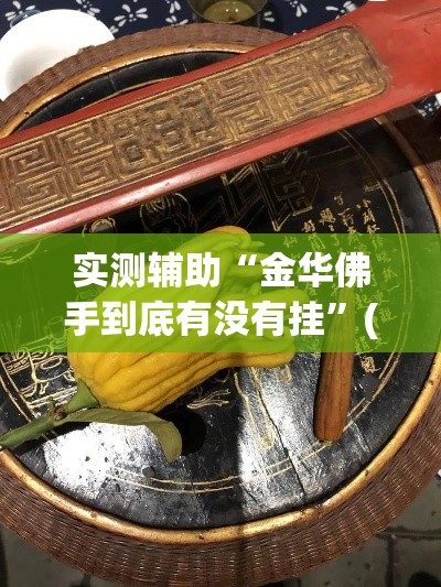 实测辅助“金华佛手到底有没有挂”(透视)其实确实有挂