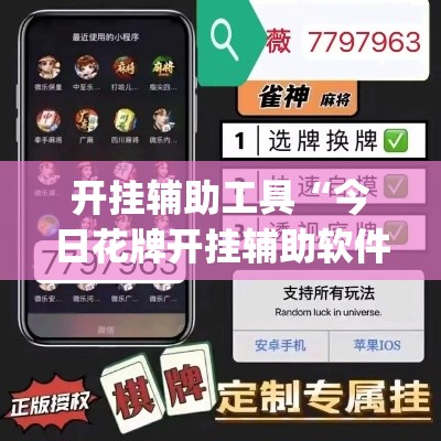 开挂辅助工具“今日花牌开挂辅助软件”专业师傅带你一起了解(确实有挂