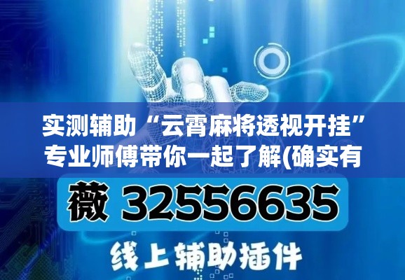 实测辅助“云霄麻将透视开挂”专业师傅带你一起了解(确实有挂
