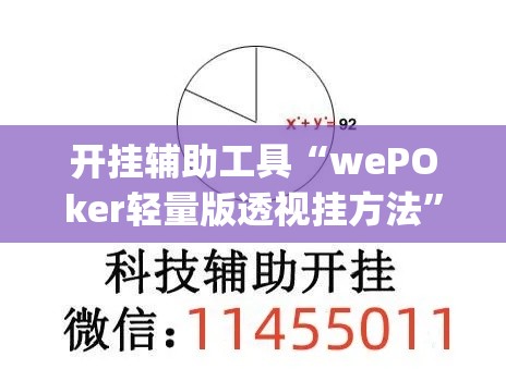 开挂辅助工具“wePOker轻量版透视挂方法”(作弊)辅助透视教程