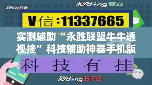 实测辅助“永胜联盟牛牛透视挂”科技辅助神器手机版