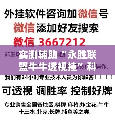 实测辅助“永胜联盟牛牛透视挂”科技辅助神器手机版