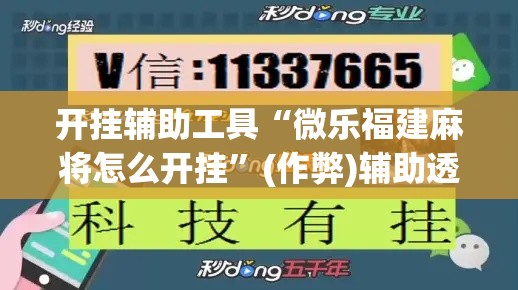 开挂辅助工具“微乐福建麻将怎么开挂	”(作弊)辅助透视教程