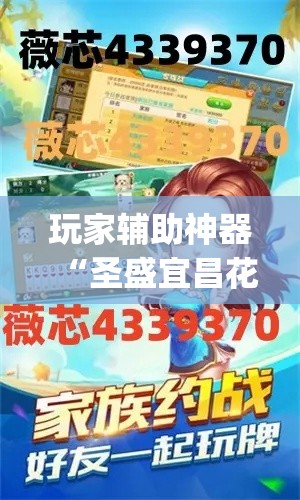 玩家辅助神器“圣盛宜昌花牌透视工具	”专业师傅带你一起了解(确实有挂