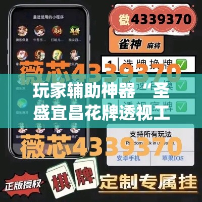 玩家辅助神器“圣盛宜昌花牌透视工具	”专业师傅带你一起了解(确实有挂