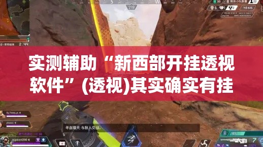 实测辅助“新西部开挂透视软件”(透视)其实确实有挂
