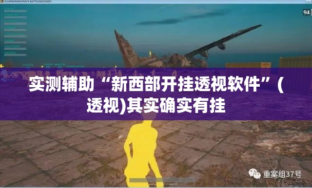 实测辅助“新西部开挂透视软件	”(透视)其实确实有挂