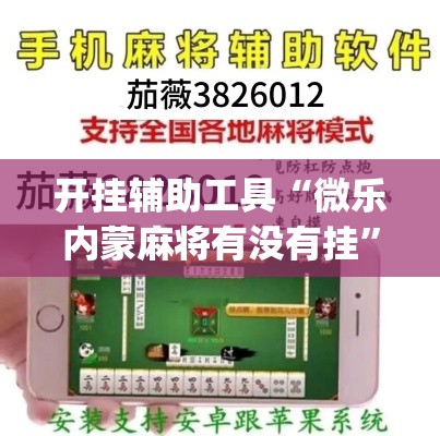 开挂辅助工具“微乐内蒙麻将有没有挂	”(透视)其实确实有挂