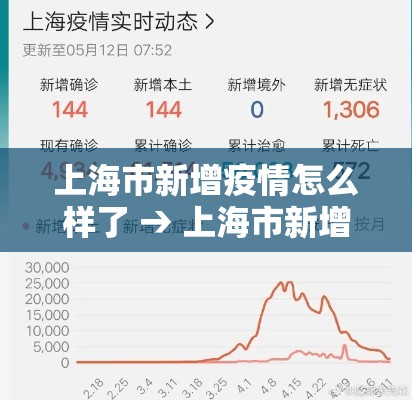 上海市新增疫情怎么样了 → 上海市新增新冠肺炎