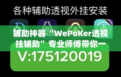辅助神器“WePoKer透视挂辅助”专业师傅带你一起了解(确实有挂
