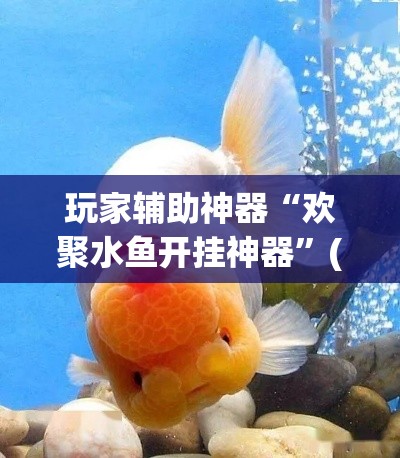 玩家辅助神器“欢聚水鱼开挂神器”(透视)其实确实有挂