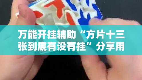 万能开挂辅助“方片十三张到底有没有挂”分享用挂教程