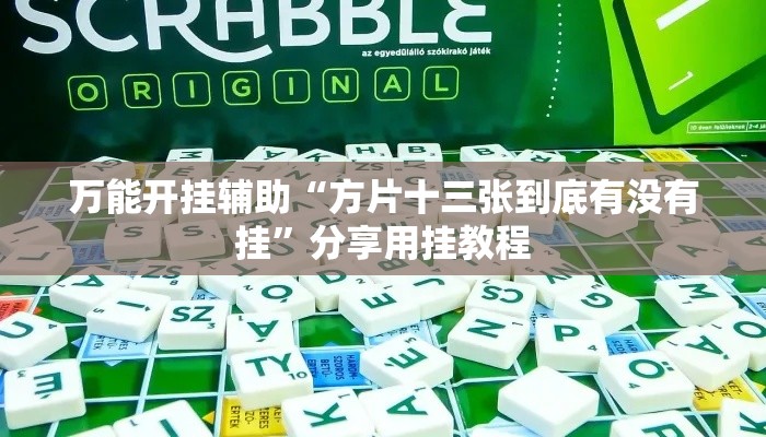 万能开挂辅助“方片十三张到底有没有挂”分享用挂教程