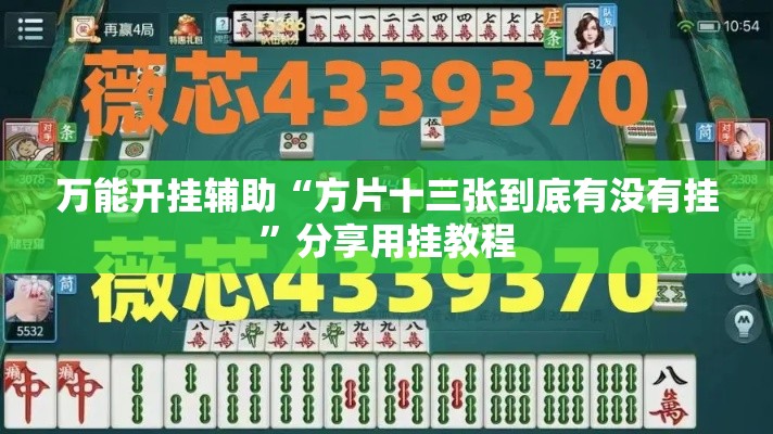 万能开挂辅助“方片十三张到底有没有挂	”分享用挂教程