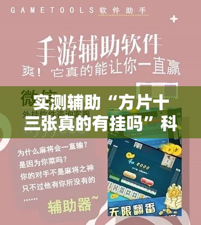 实测辅助“方片十三张真的有挂吗”科技辅助神器手机版