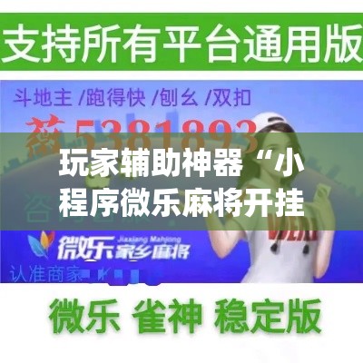 玩家辅助神器“小程序微乐麻将开挂神器下载”(作弊)辅助透视教程